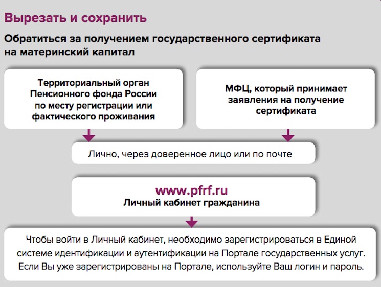 Федеральная и региональная программа материнского капитала