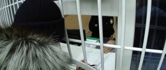 Образец заявления в полицию по факту правонарушения