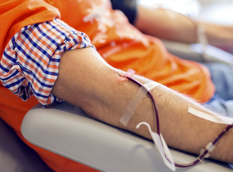 Правила донорства крови в России