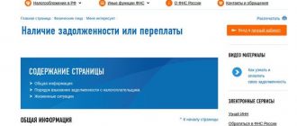 Налоговая задолженность по ИНН физического лица