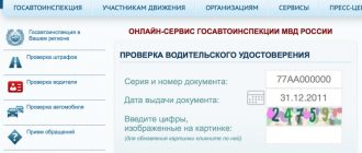 Список лишенных водительского удостоверения